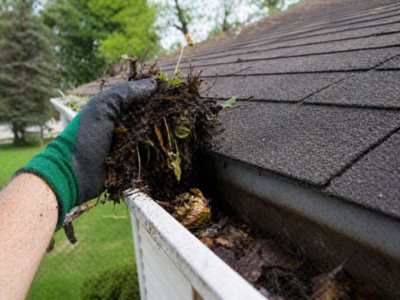 Gutter Leaf Clearing in Frederick, MD