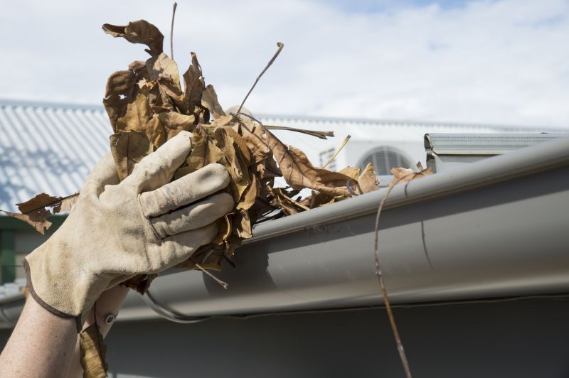 Gutter Leaf Clearing in Rochester, NY