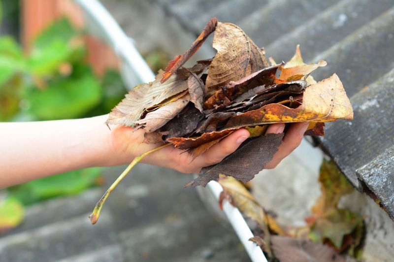 Gutter Leaf Clearing in Westchester County, NY