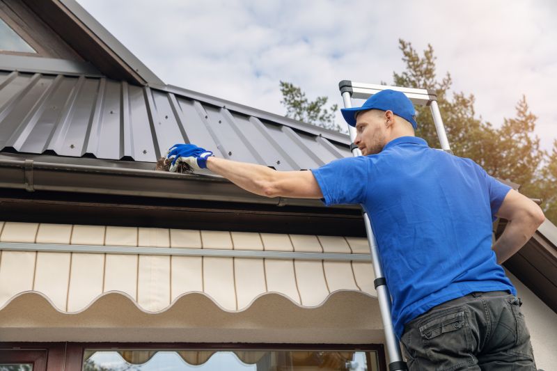 Gutter Maintenance in Longmont, CO
