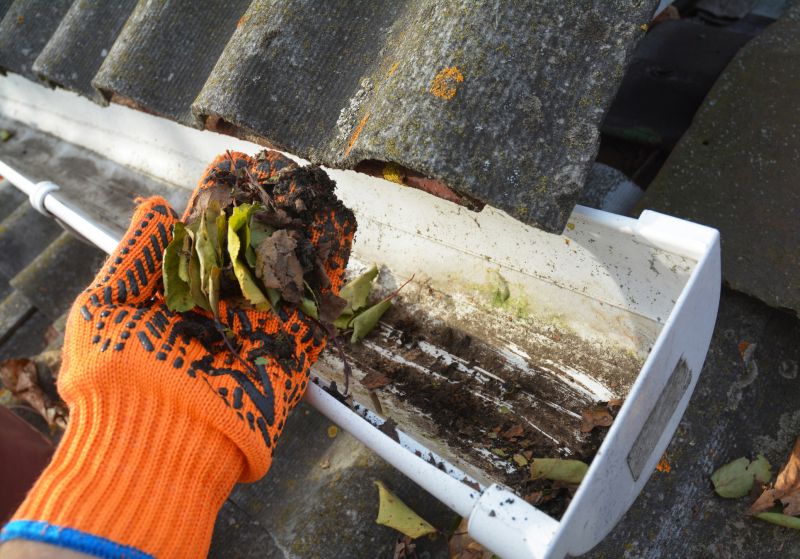 Clogged Gutter Clearing in Annapolis, MD