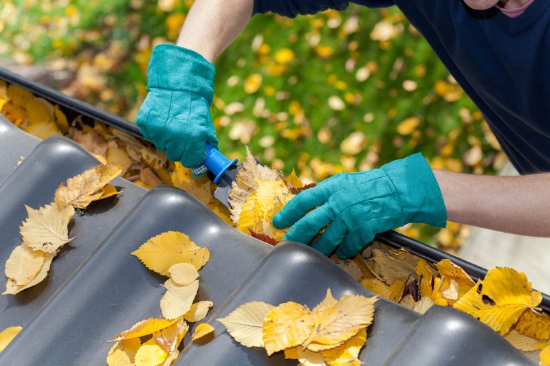 Commercial Gutter Maintenance in Littleton, CO