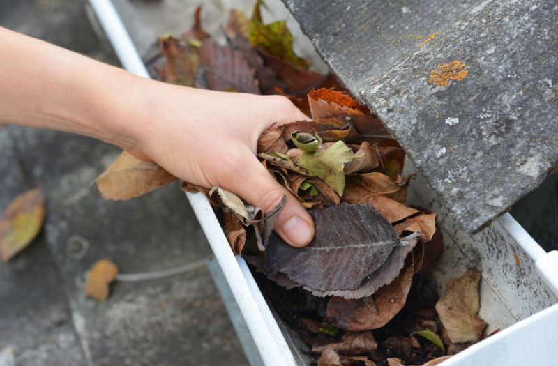 Commercial Gutter Unclogging in Denver County, CO