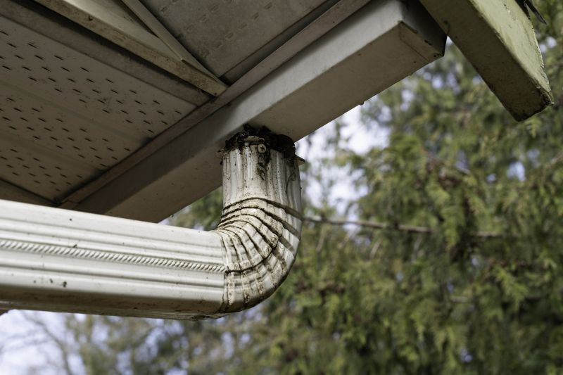 Downspout Snaking in Annapolis, MD