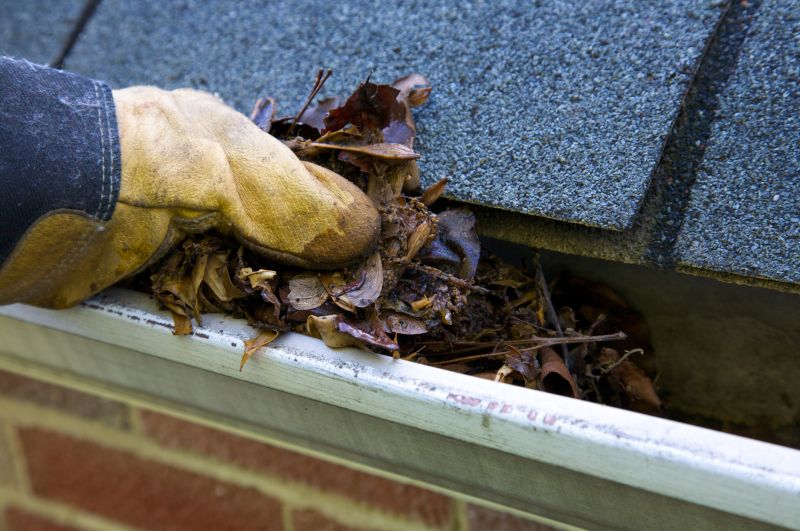 Gutter Blockage Removal in Fredericksburg, VA