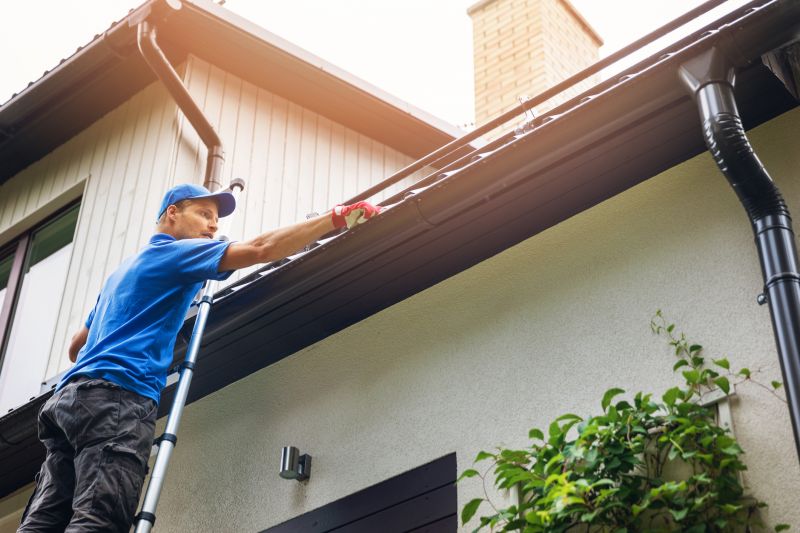 Gutter Cleaning in Fredericksburg, VA