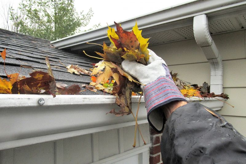 Gutter Leaf Clearing in Arvada, CO