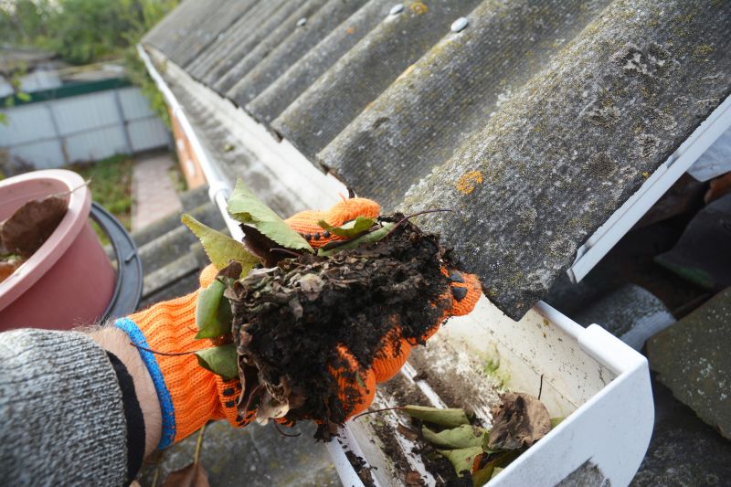 Gutter Leaf Clearing in Frederick, MD