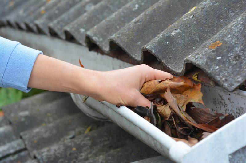 Gutter Leaf Clearing in Frederick, MD