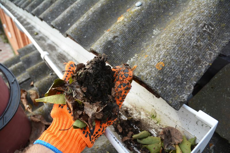 Gutter Leaf Clearing in Morris County, NJ