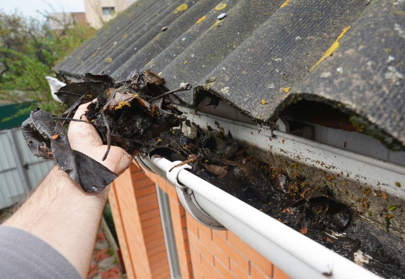 Gutter Leaf Clearing in Annapolis, MD