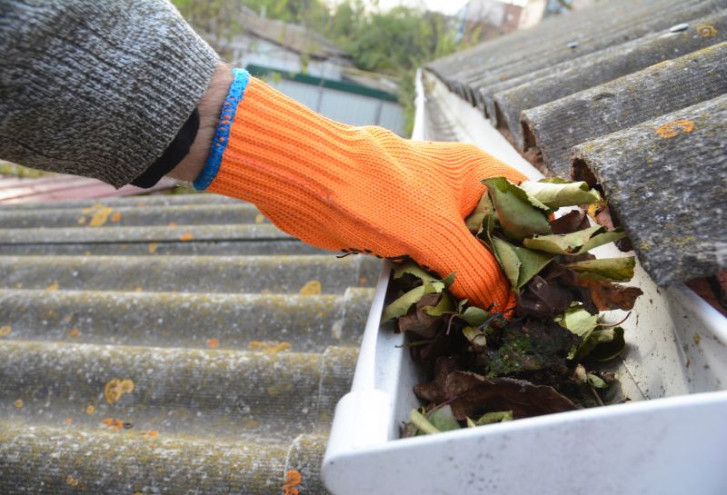 Gutter Leaves Removal in Rochester, NY