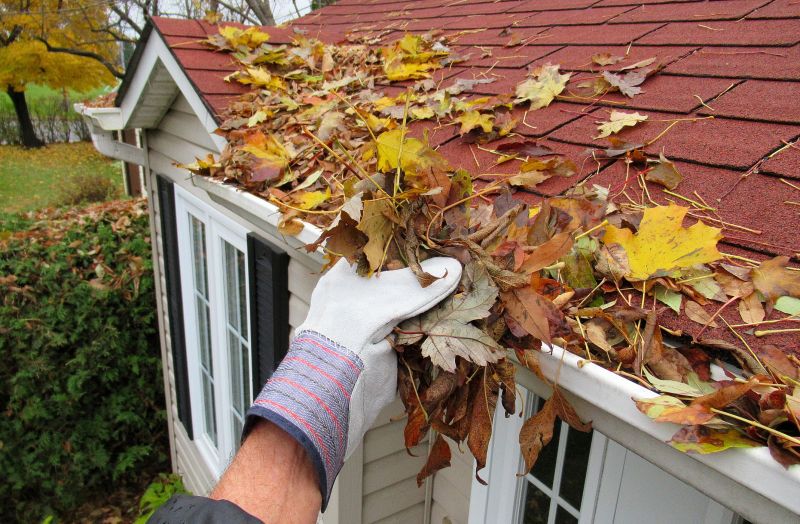 Gutter Leaves Removal in Rochester, NY