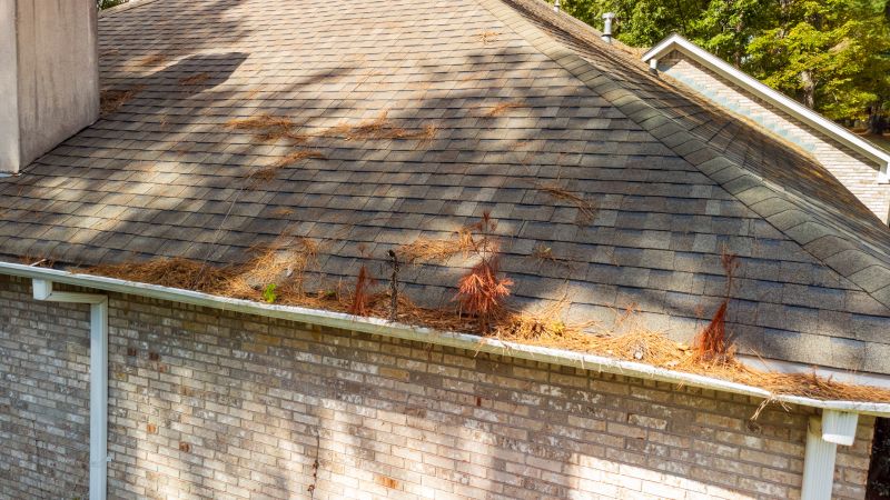 Gutter Pine Needle Removal in Westchester County, NY