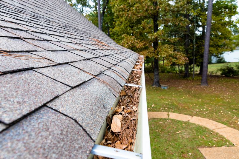 Gutter Pine Needle Removal in Monmouth County, NJ