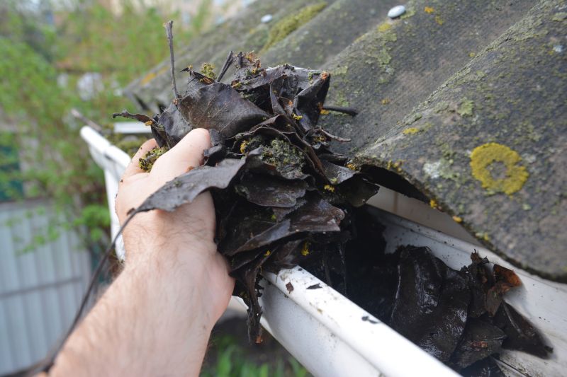 Rain Gutter Clearing in Baltimore, MD