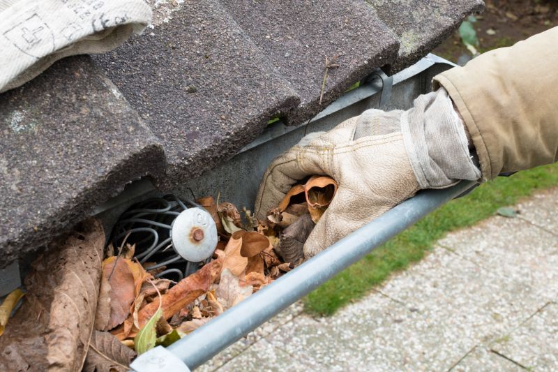 Rain Gutter Clearing in Richmond, VA
