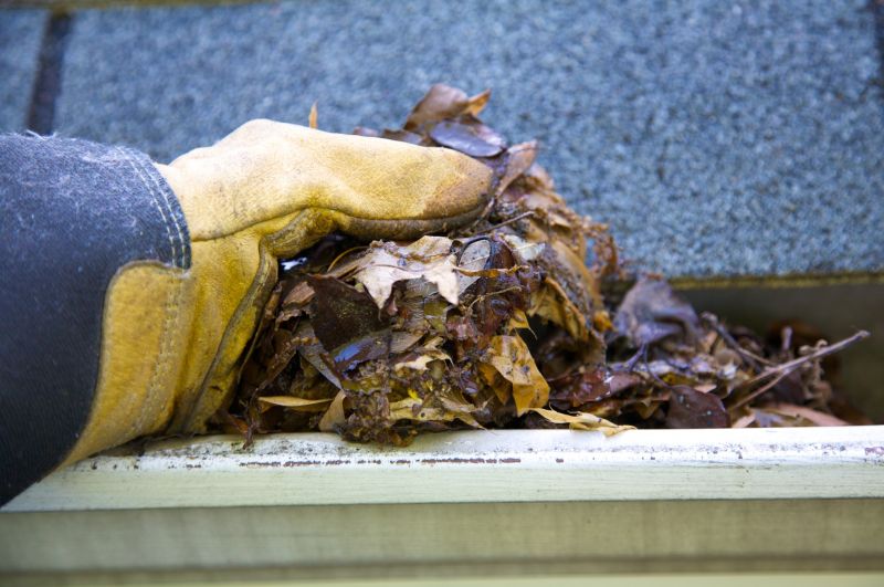 Rain Gutter Clearing in Boulder, CO