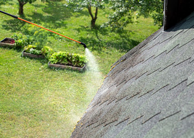 Roof Algae Removal in Vancouver, WA