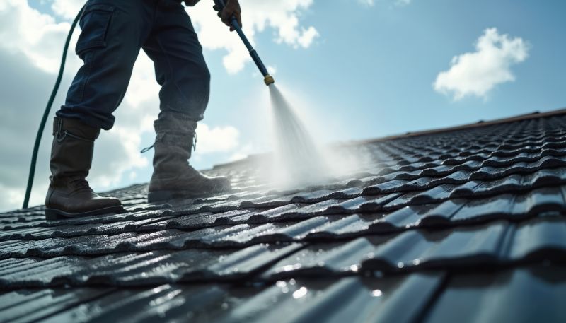 Roof Cleaning in Vancouver, WA