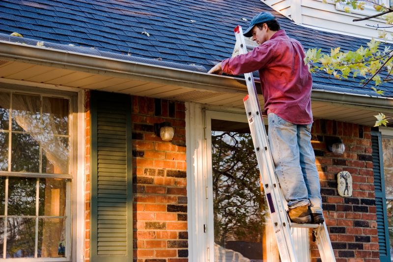 Roof Gutter Cleaning in Baltimore, MD