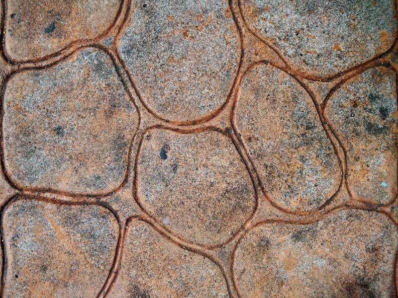 Stamped Concrete Sealing in Puyallup, WA